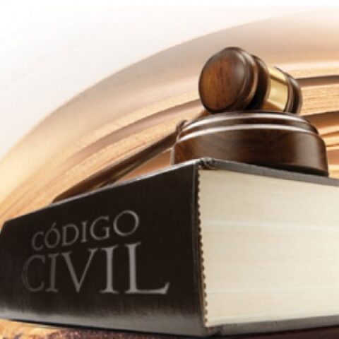 Se contemplan hasta 8 enmiendas al Código Civil